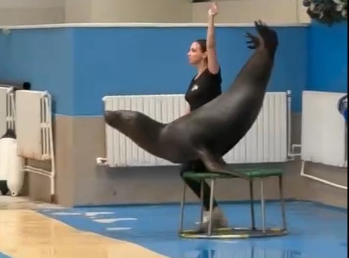 PrimaDemonstratie2026